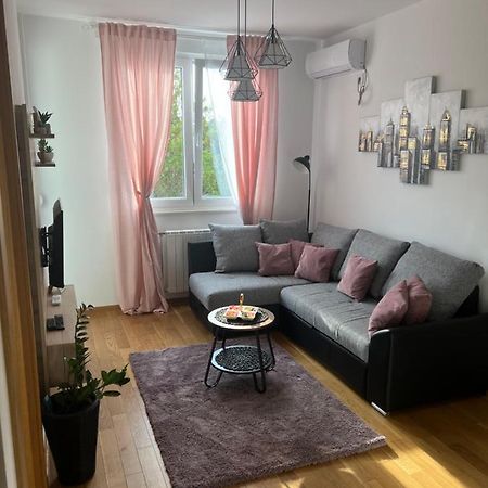 Apartment Luxe Nine نوفي ساد المظهر الخارجي الصورة