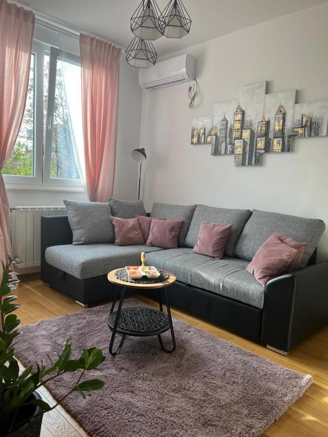 Apartment Luxe Nine نوفي ساد المظهر الخارجي الصورة